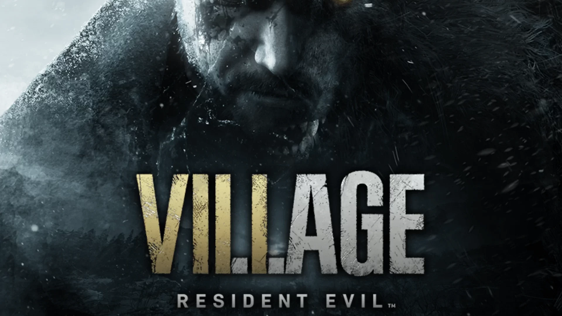 RE VIllage