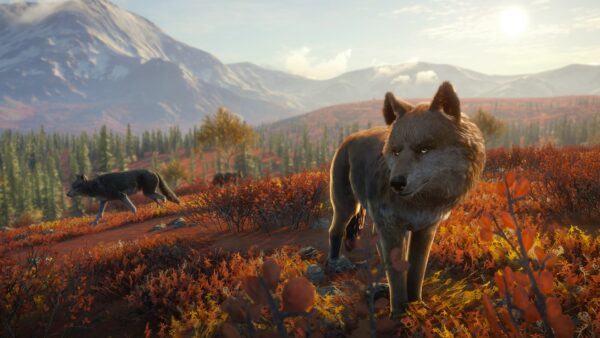 Expansive Worlds annuncia un nuovissimo luogo di caccia australiano per theHunter: Call of the Wild