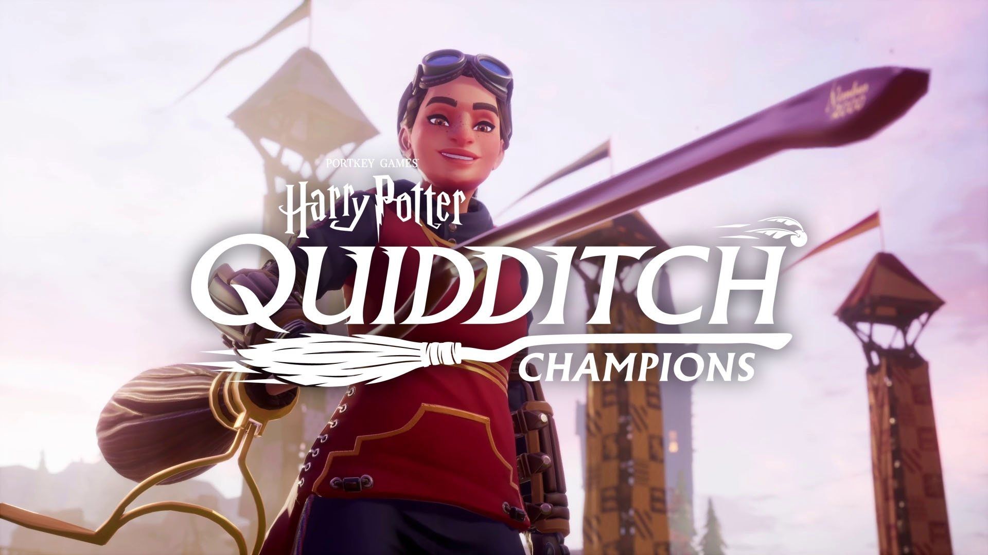 Harry Potter Campioni di Quidditch