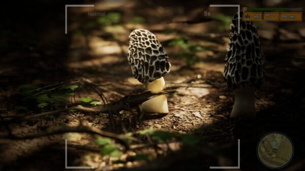 Un astronauta fotografa funghi alieni luminosi in una giungla extraterrestre