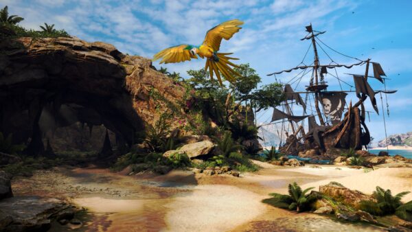 Un pirata esplora un'isola tropicale in Pirates VR: Jolly Roger